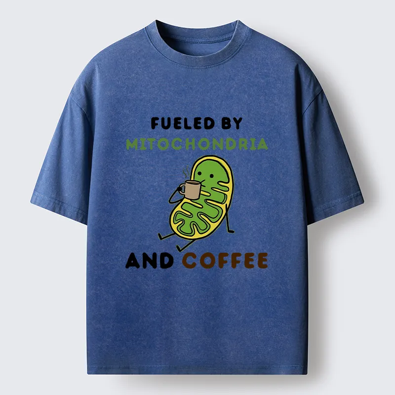 Tokyo-Tiger Two Sources Energy Funny Meme Washed T-Shirt