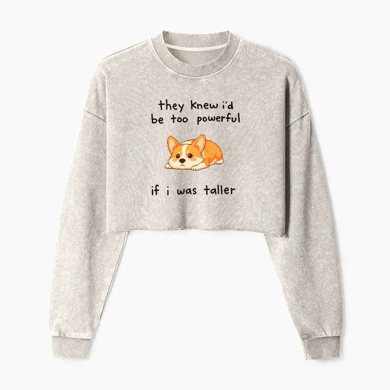 Tokyo-Tiger Funny Short Dog Joke Washed Crop Sweatshirt