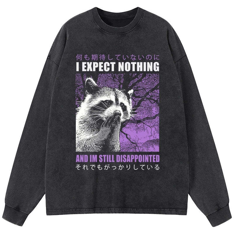 Tokyo-Tiger Disappointed Raccoon Japanese Washed Long Sleeve T-Shirt Sale