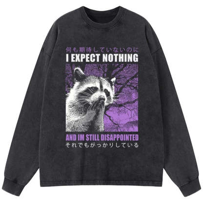 Tokyo-Tiger Disappointed Raccoon Japanese Washed Long Sleeve T-Shirt