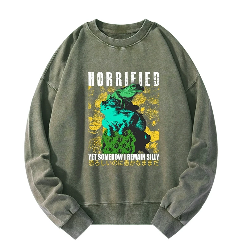 Tokyo-Tiger Horrified Two Frogs Funny Washed Sweatshirt