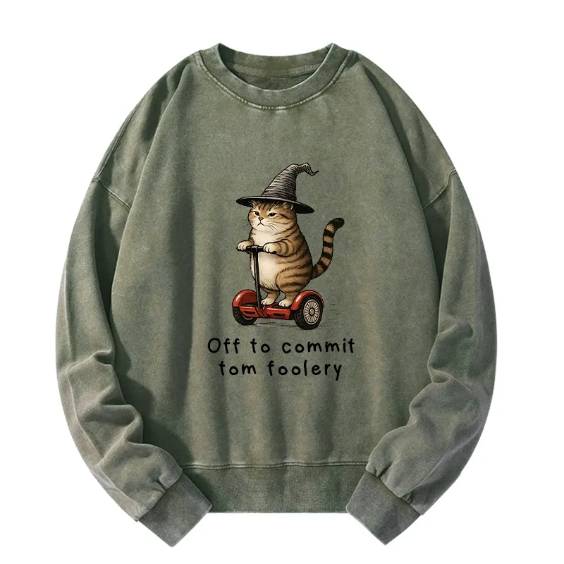 Tokyo-Tiger Orange Cat Riding Segway-style Washed Sweatshirt