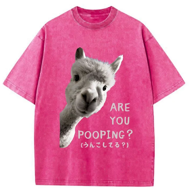 Tokyo-Tiger Are You Pooping Washed T-Shirt