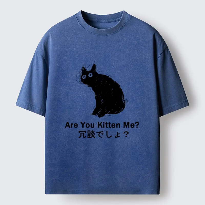 Tokyo-Tiger Are You Kitten Me Pun Art Washed T-Shirt