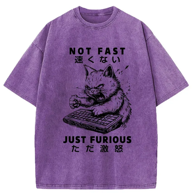 Tokyo-Tiger Not Fast Just Furious Washed T-Shirt