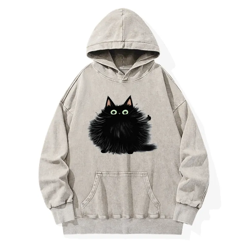 Tokyo-Tiger Cat's Approval Washed Hoodie Sale