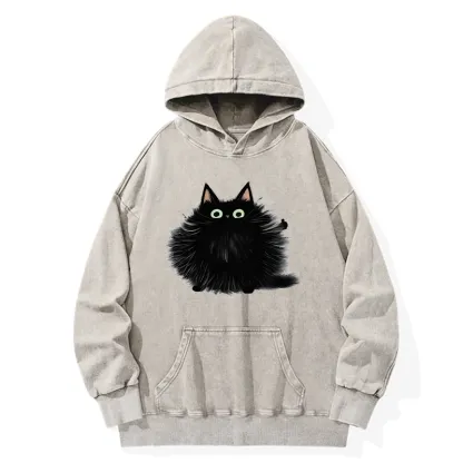 Tokyo-Tiger Cat's Approval Washed Hoodie