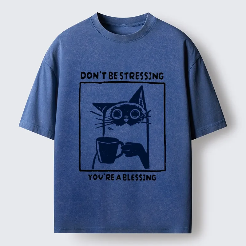 Tokyo-Tiger Coffee Cat Blessing Meme Washed T-Shirt
