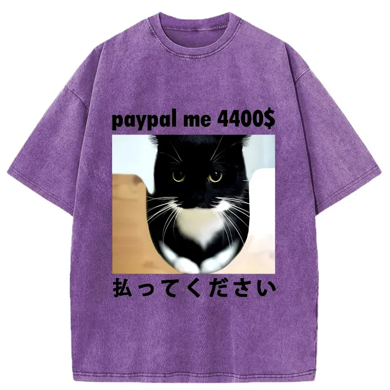 Tokyo-Tiger Please Give The Cat Money Washed T-Shirt