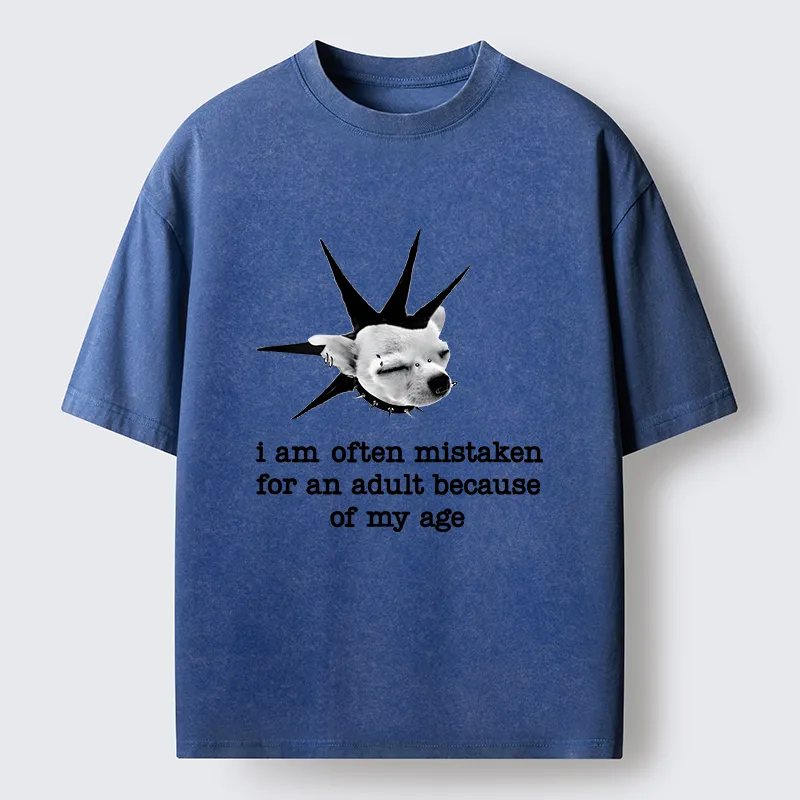 Tokyo-Tiger My Mental Age Is Very Young Washed T-Shirt