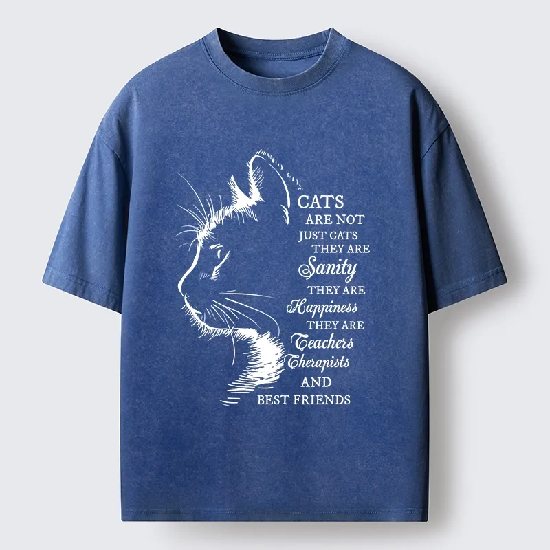 Tokyo-Tiger Cat Best Friend Washed T-Shirt