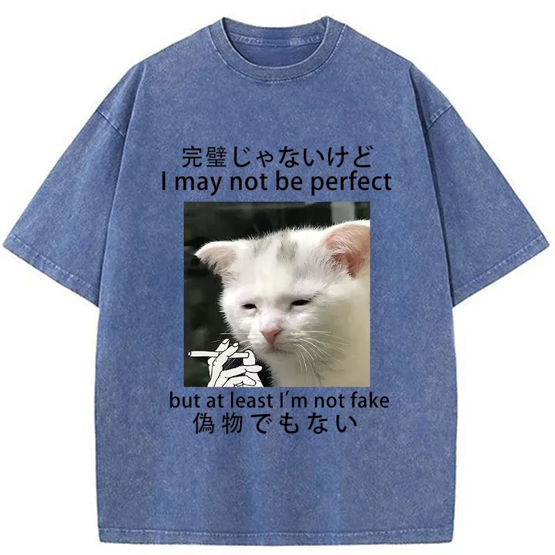 Tokyo-Tiger Cat Lamenting Life Washed T-Shirt