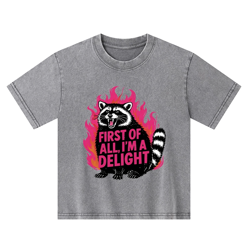 Tokyo-Tiger Angry Raccoon Funny Kids Washed T-Shirt