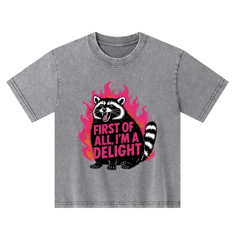 Tokyo-Tiger Angry Raccoon Funny Kids Washed T-Shirt