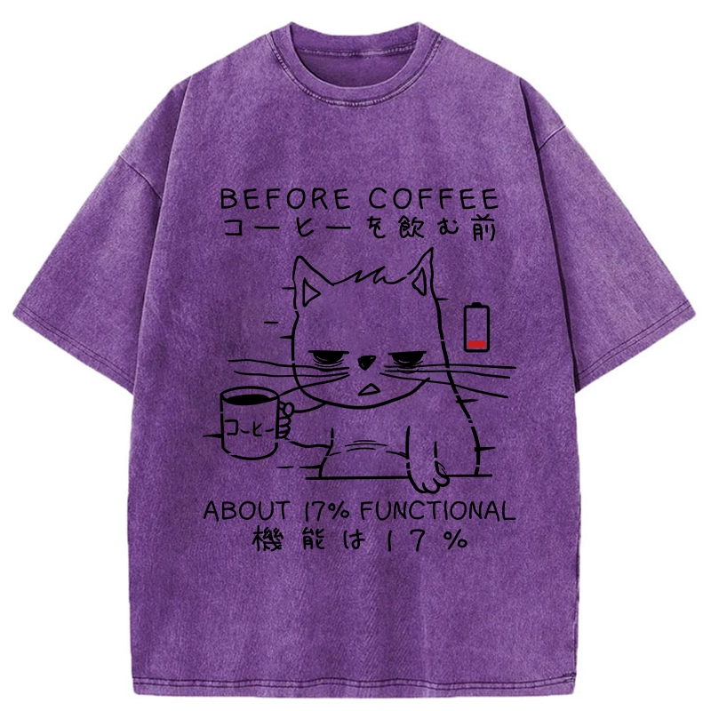 Tokyo-Tiger Before Coffee About 17% Functional Washed T-Shirt