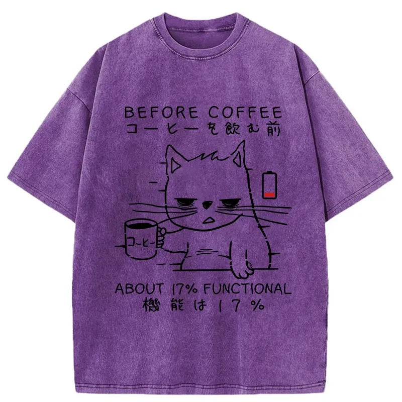 Tokyo-Tiger Before Coffee About 17% Functional Washed T-Shirt