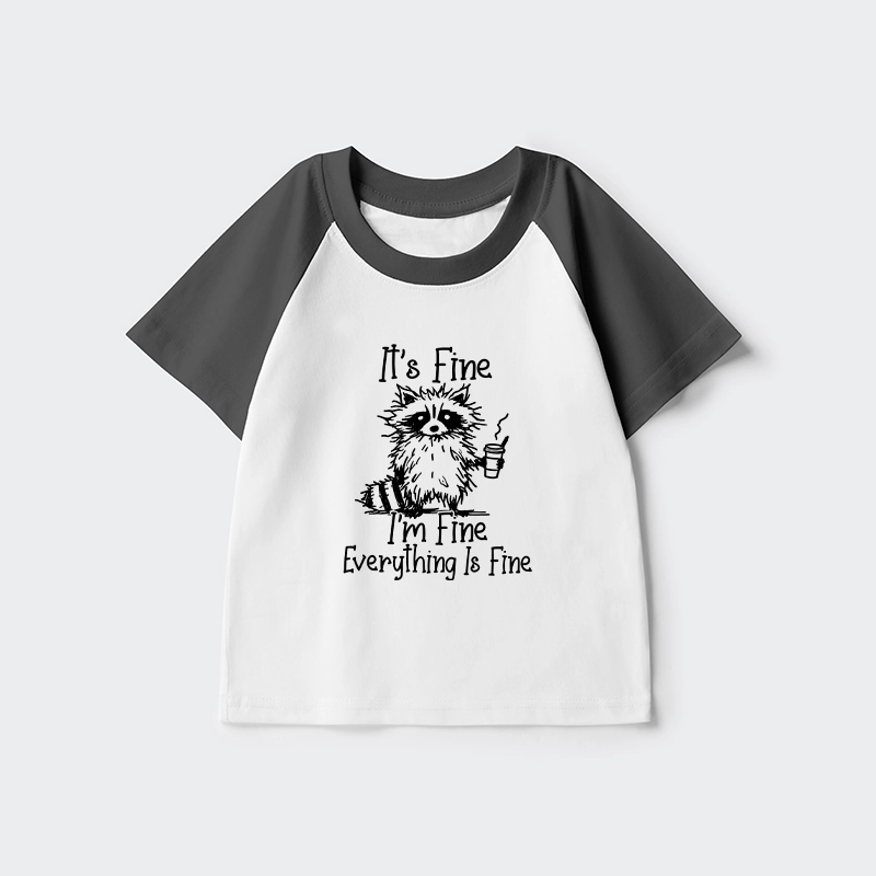 Tokyo-Tiger Raccoon Fine Meme Kids Raglan T-shirt