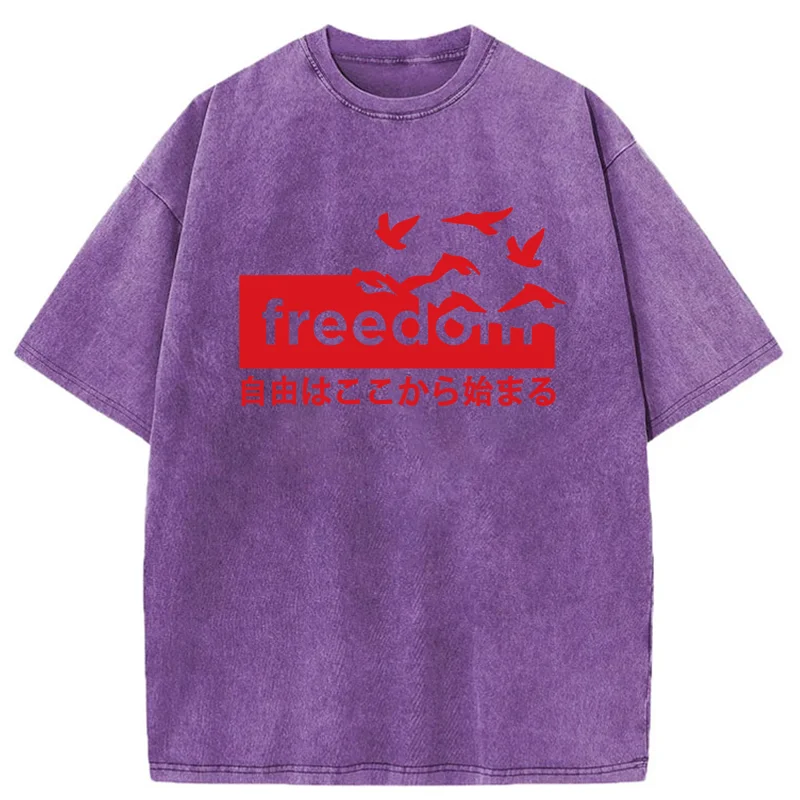 Tokyo-Tiger Freedom Japanese Washed T-Shirt