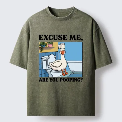 Tokyo-Tiger Are You Pooping Funny Washed T-Shirt
