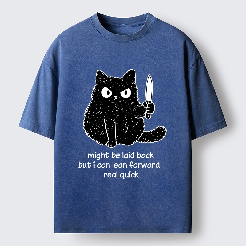 Tokyo-Tiger Dont Mess With This Cat Washed T-Shirt