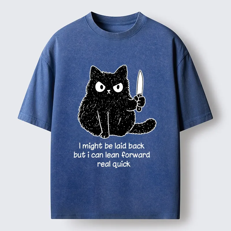 Tokyo-Tiger Dont Mess With This Cat Washed T-Shirt