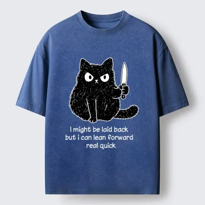 Tokyo-Tiger Dont Mess With This Cat Washed T-Shirt