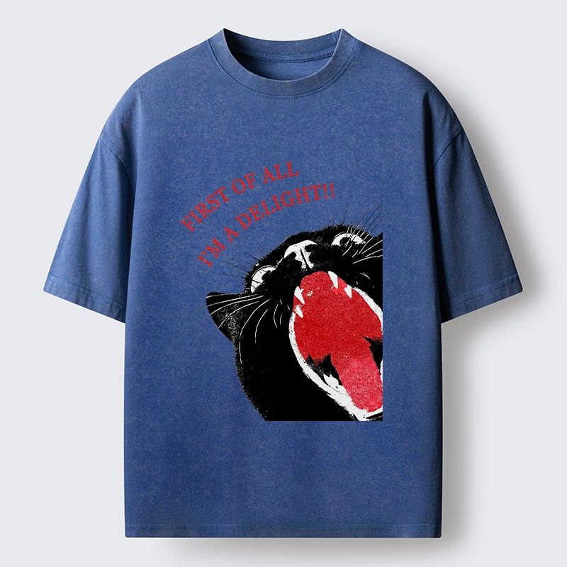 Tokyo-Tiger Funny Cat Yelling Quote Meme Washed T-Shirt