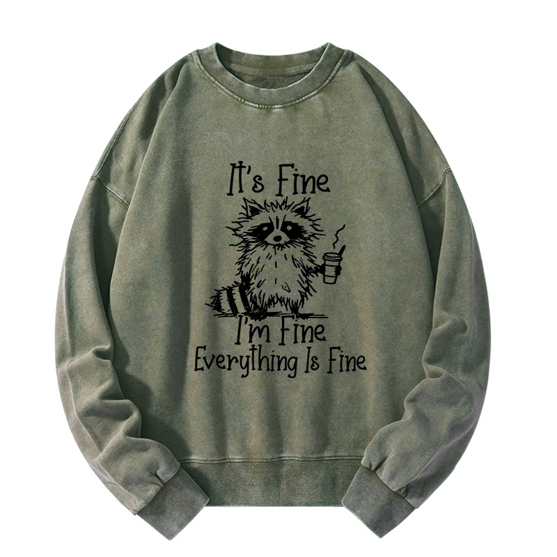 Tokyo-Tiger Raccoon Fine Meme Washed Sweatshirt