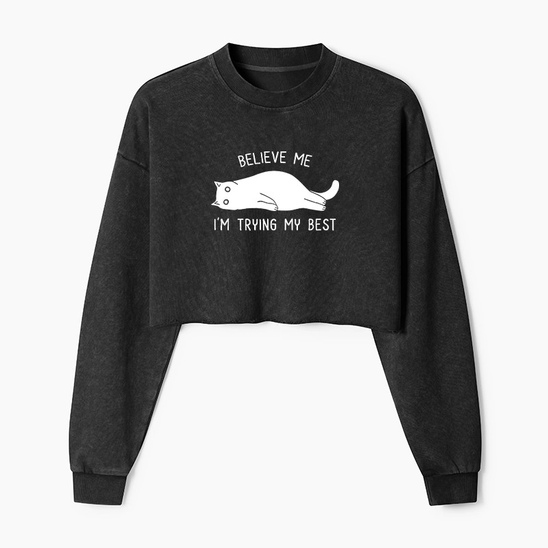 Tokyo-Tiger When Life Is Hard Nap First Washed Crop Sweatshirt