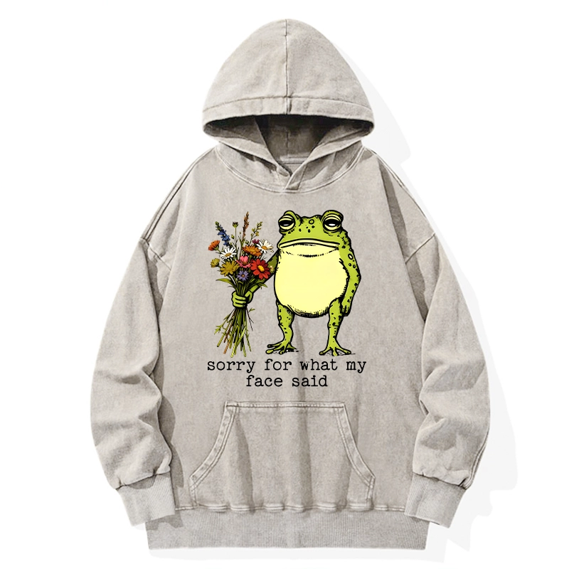 Tokyo-Tiger Frog Sorry Mode Activated Washed Hoodie