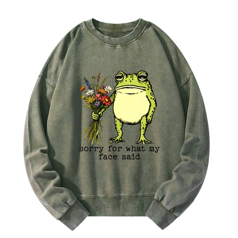 Tokyo-Tiger Frog Sorry Mode Activated Washed Sweatshirt