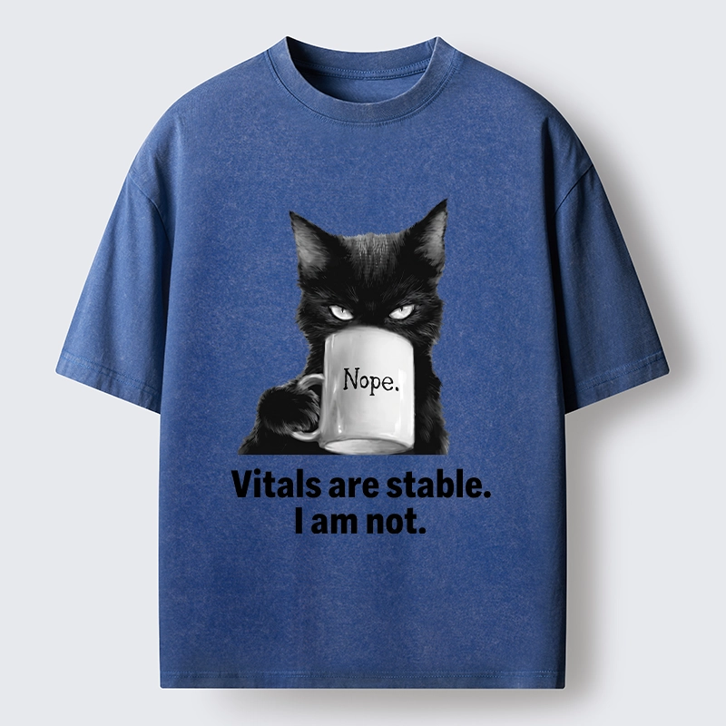 Tokyo-Tiger Grumpy Black Cat Coffee Meme Washed T-Shirt
