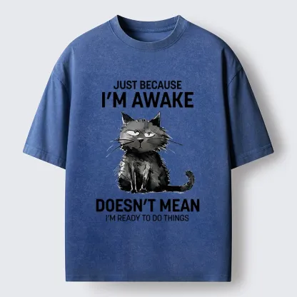 Tokyo-Tiger Grumpy Cat Not Ready To Do Things Washed T-Shirt