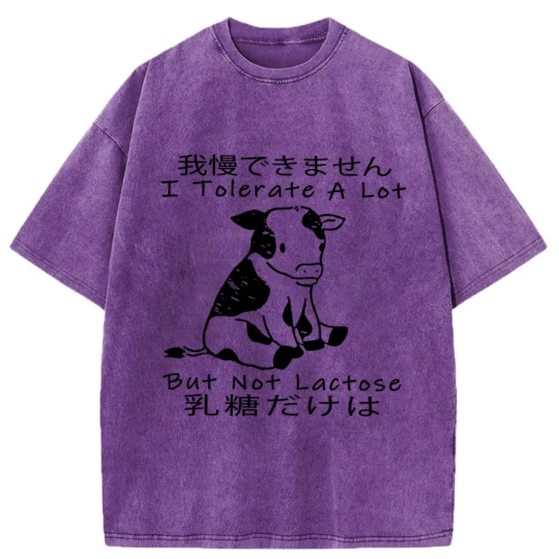Tokyo-Tiger I Can't Tolerate Lactose Washed T-Shirt
