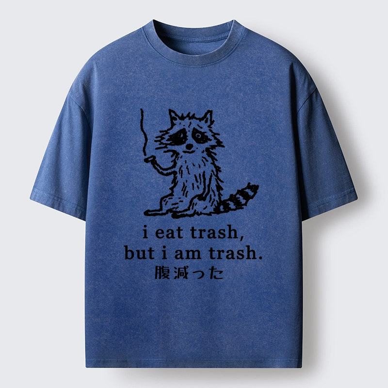 Tokyo-Tiger Raccoon’s Trashy Lifestyle Washed T-Shirt