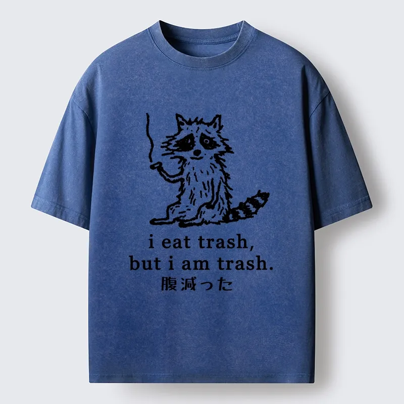 Tokyo-Tiger Raccoon’s Trashy Lifestyle Washed T-Shirt