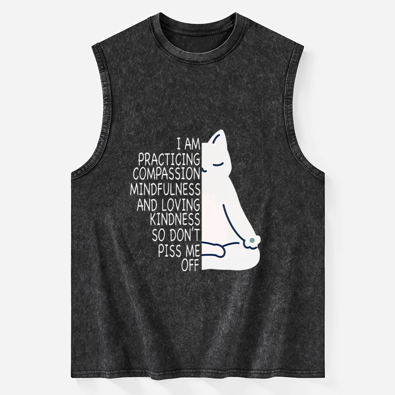 Tokyo-Tiger Calm Black Cat With Anger Issues Washed Tank