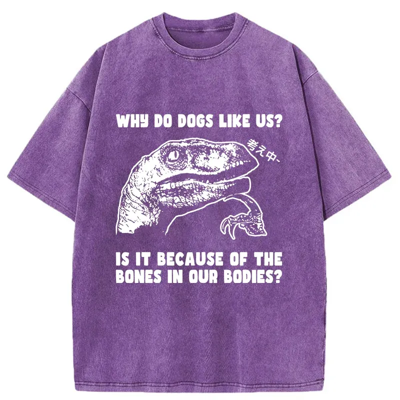 Tokyo-Tiger Kung Fu Superstar Washed T-Shirt Sale