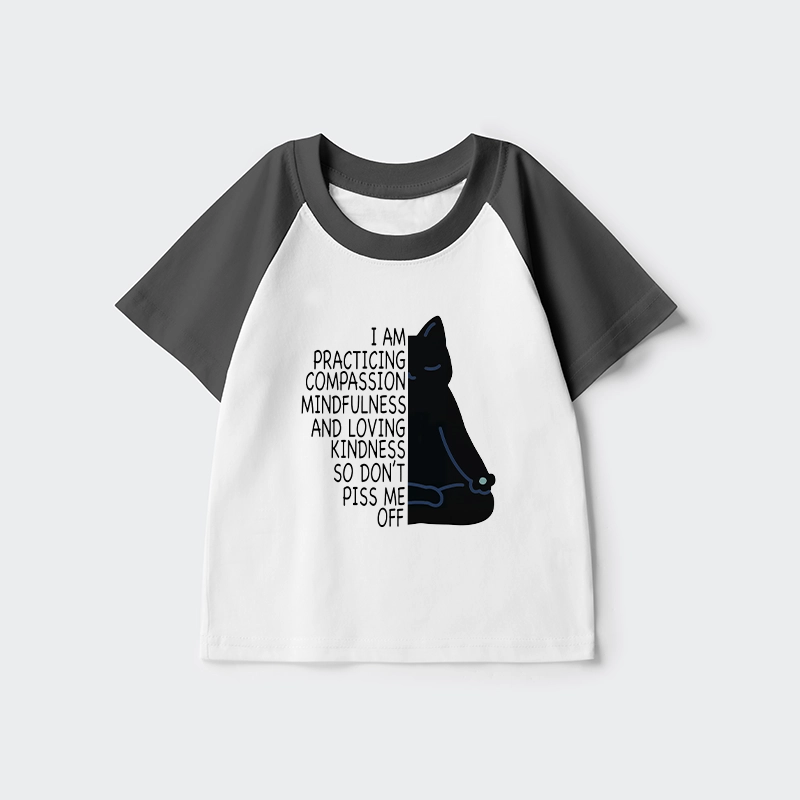 Tokyo-Tiger Calm Black Cat With Anger Issues Kids Raglan T-shirt