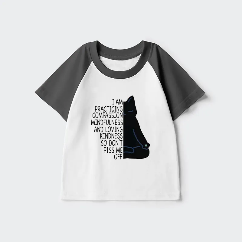 Tokyo-Tiger Calm Black Cat With Anger Issues Kids Raglan T-shirt