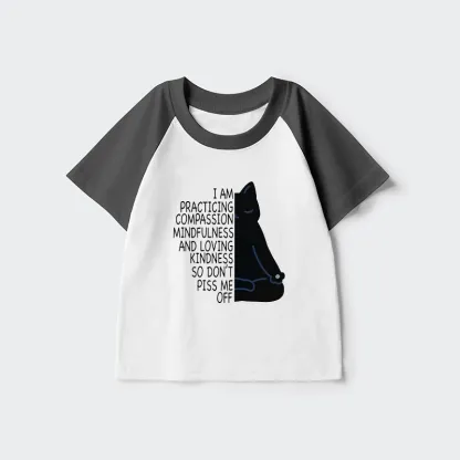 Tokyo-Tiger Calm Black Cat With Anger Issues Kids Raglan T-shirt