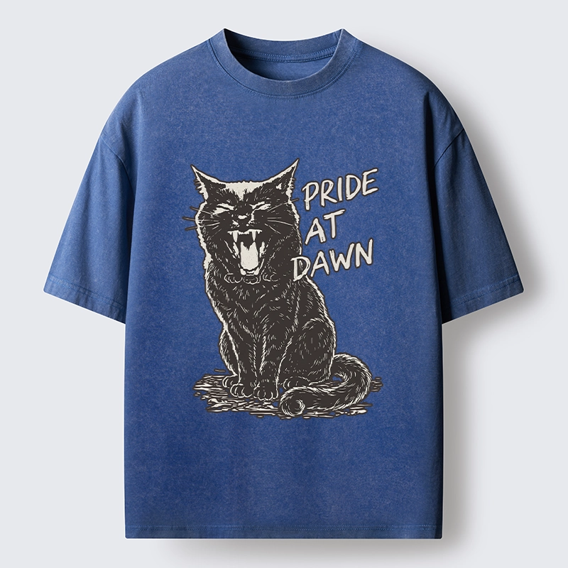 Tokyo-Tiger Cool Black Cat With Pride At Dawn Washed T-Shirt