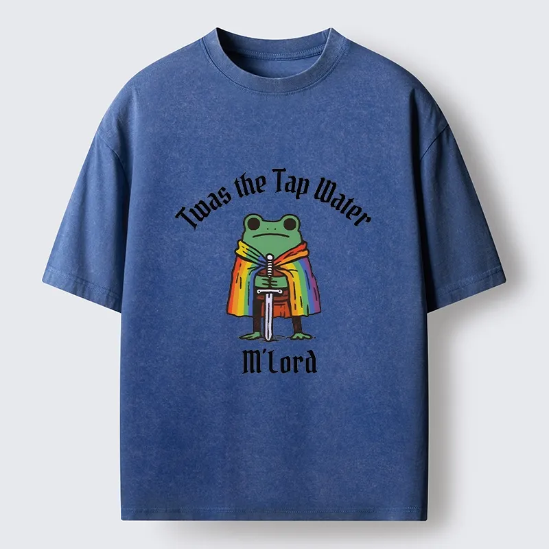 Tokyo-Tiger Funny Rainbow Cloak Frog With Sharp Sword Washed T-Shirt