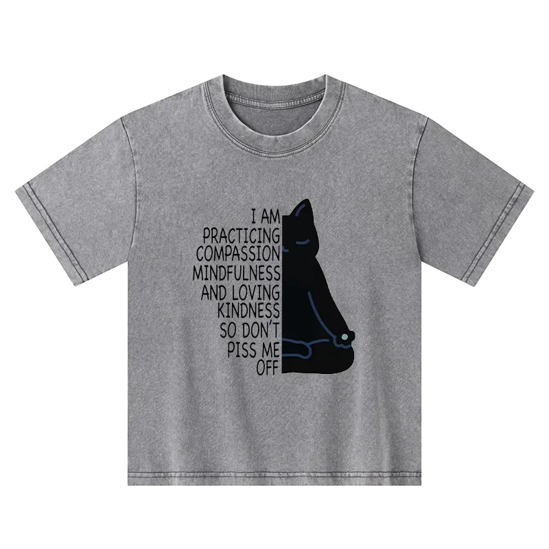 Tokyo-Tiger Calm Black Cat With Anger Issues Kids Washed T-Shirt