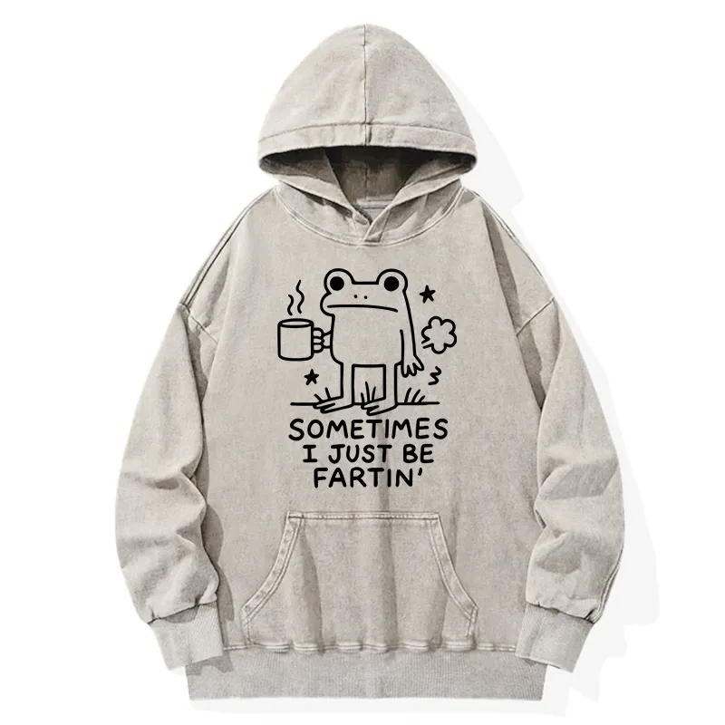 Tokyo-Tiger Sometimes A Frog Just Needs To Fart Washed Hoodie Sale
