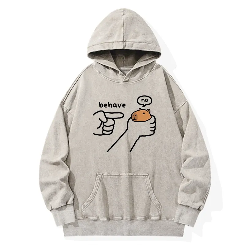 Tokyo-Tiger Dishonest Capybara Washed Hoodie Sale