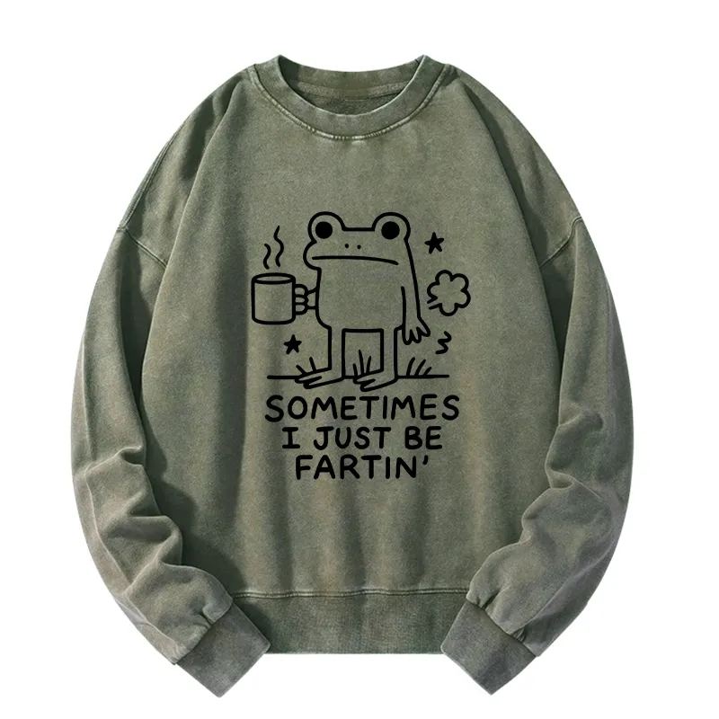 Tokyo-Tiger Sometimes A Frog Just Needs To Fart Washed Sweatshirt