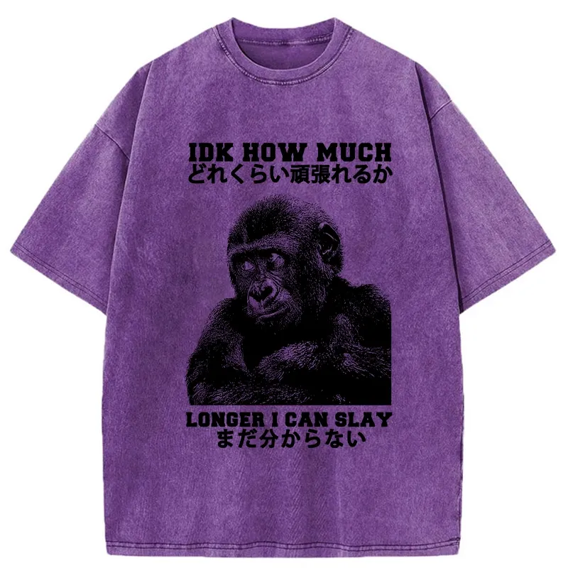 Tokyo-Tiger I Don't Know How Long I Can Slay Washed T-Shirt