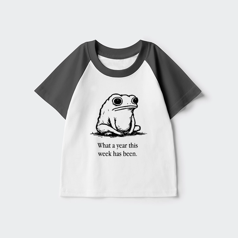 Tokyo-Tiger This Week Feels Like A Whole Year Kids Raglan T-shirt