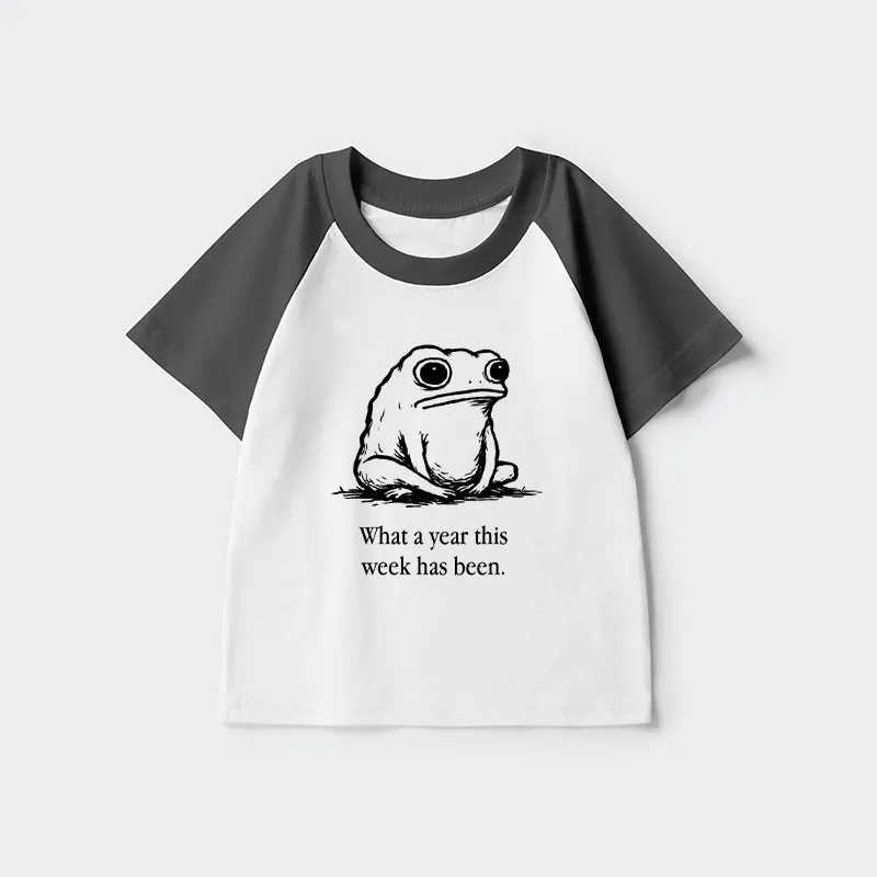 Tokyo-Tiger This Week Feels Like A Whole Year Kids Raglan T-shirt